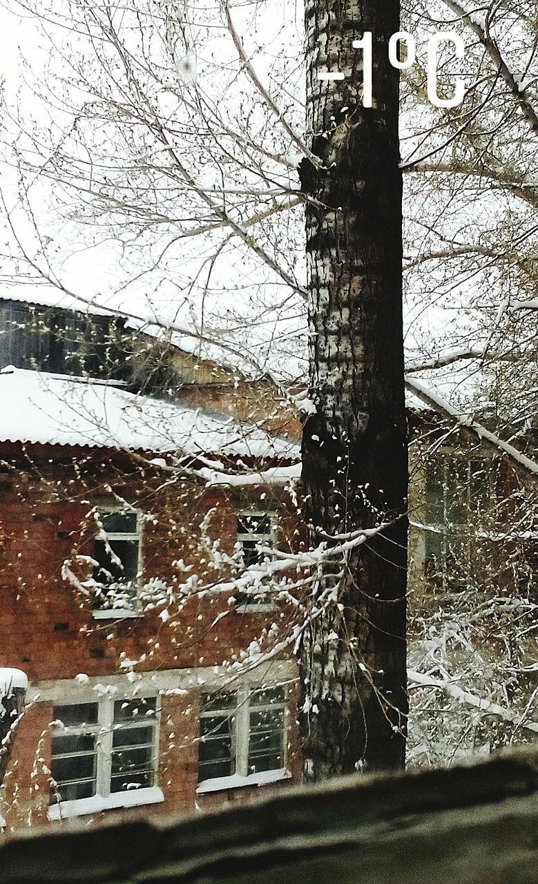 winter, snow, cold temperature, architecture, window, building exterior, tree, bare tree, built structure, weather, no people, day, outdoors, nature, branch, snowing, beauty in nature, close-up, sky