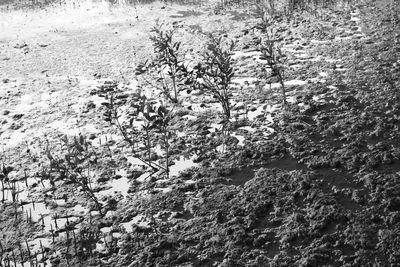 High angle view of snow covered land