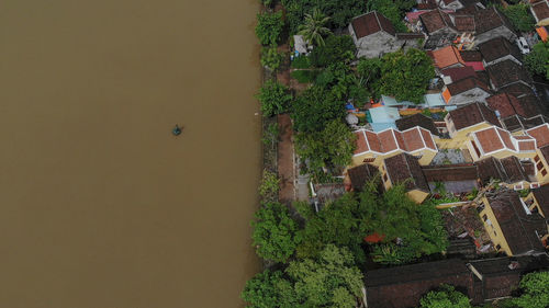 High angle view of trees and buildings