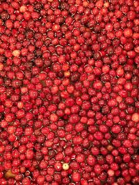 Full frame shot of red berries