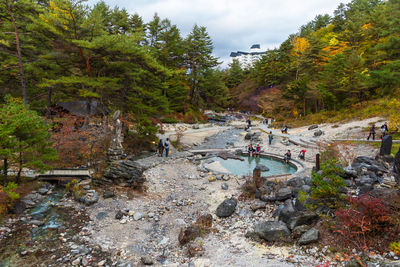 Group of people on rock in forest