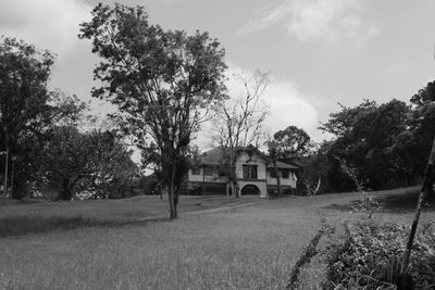 Trees and houses on field against sky