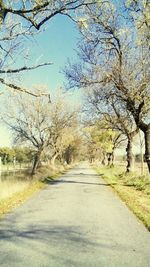 Empty road along trees