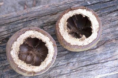 High angle view of hole on wood