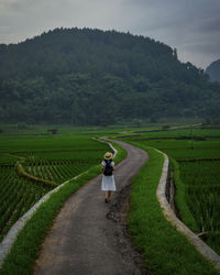 Rear view of woman walking on road amidst agricultural field