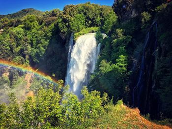 Scenic view of waterfall in forest