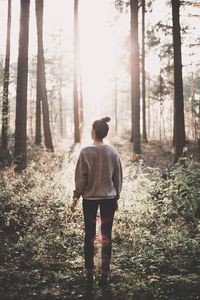 Rear view of man walking in forest