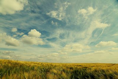 Scenic view of field against cloudy sky