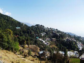 Trees on mountain against clear sky