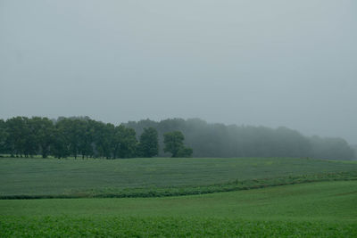 Scenic view of trees on field against sky