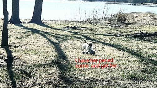 Close-up of road sign