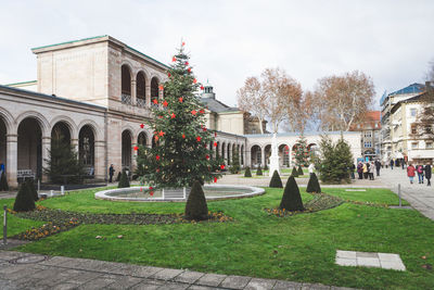 Lawn in front of building