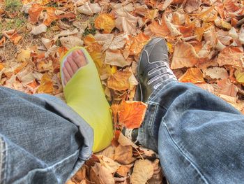 Low section of person on autumn leaves