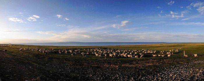 Scenic view of field against cloudy sky