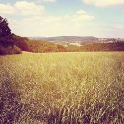 Scenic view of landscape against sky