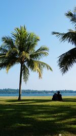 Palm trees on field against clear sky