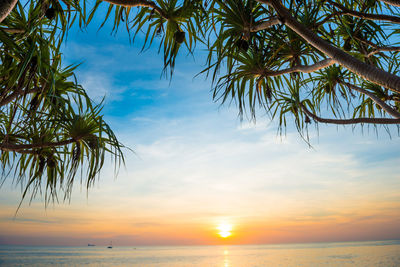 Scenic view of sea against sky at sunset
