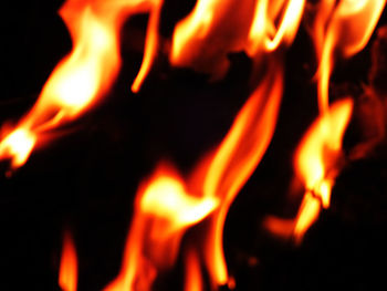 Close-up of bonfire