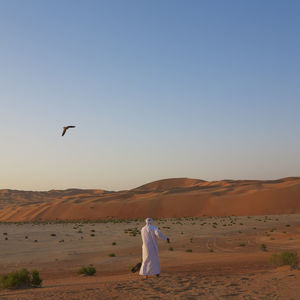 Bird flying over desert against clear sky