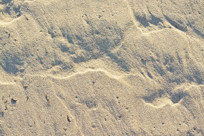 Close-up of footprints on sand