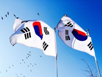 Low angle view of korean flags against clear sky