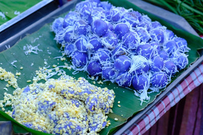 High angle view of purple flowering plant
