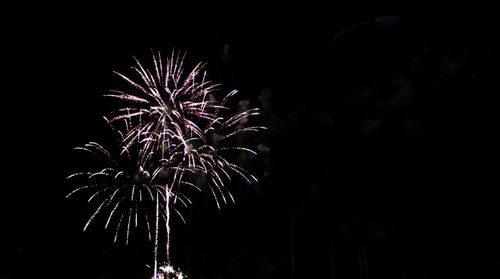 Low angle view of firework display at night