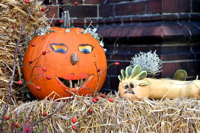 View of pumpkins against plants during halloween