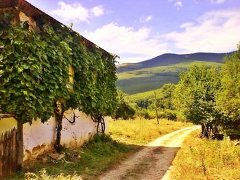 Scenic view of farm against sky