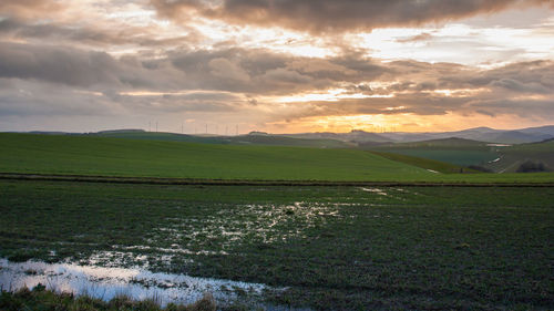 Scenic view of field against sky during sunset