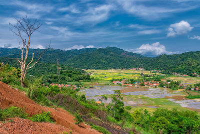 Scenic view of field against sky