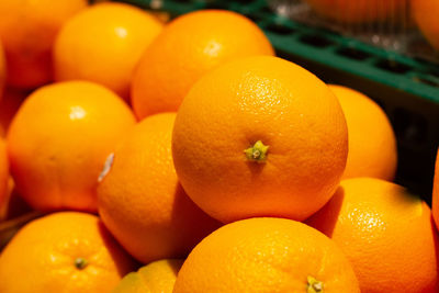 Close-up of orange fruits