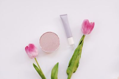 Close-up of pink tulips against white background