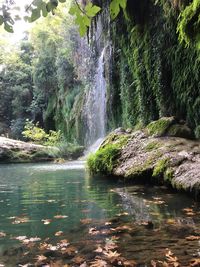 Scenic view of waterfall in forest