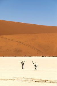 Scenic view of desert against clear sky