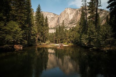 Scenic view of lake by trees against sky