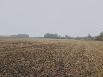 Scenic view of field against clear sky