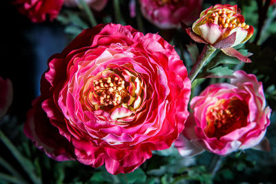 Close-up of rose bouquet