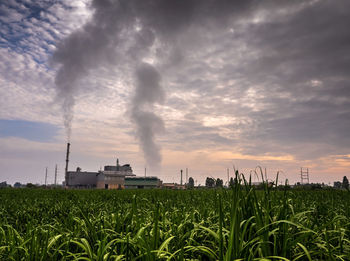 Scenic view of agricultural field against sky during sunset