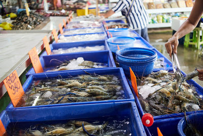 Lots of seafood in the seafood market