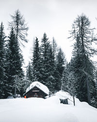 Snow covered land and trees against sky