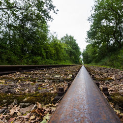 Surface level of railroad track amidst trees against clear sky