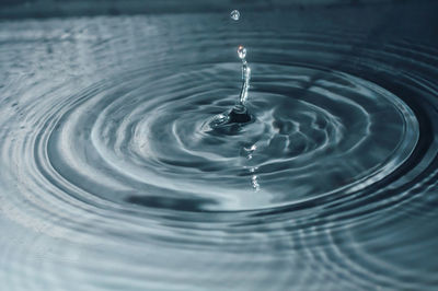 Close-up of water drop