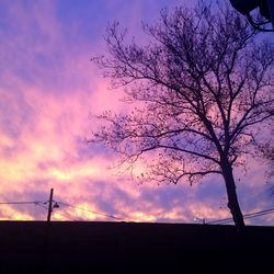 Low angle view of bare trees against sky