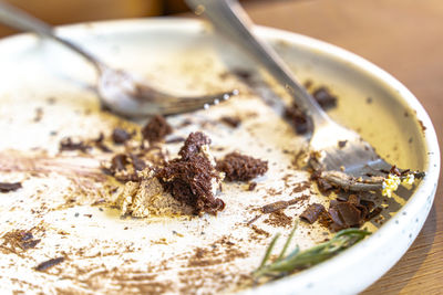 Close-up of insect on table