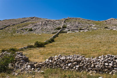 Scenic view of field against clear sky