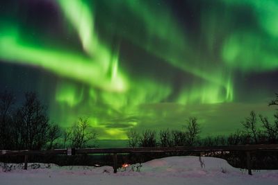 Scenic view of snow covered trees against sky at night