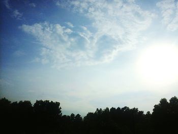 Low angle view of trees against sky