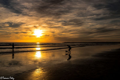 Silhouette people on beach against sky during sunset