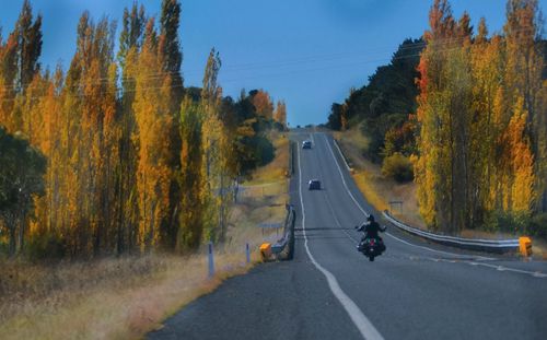 Road amidst trees against sky during autumn